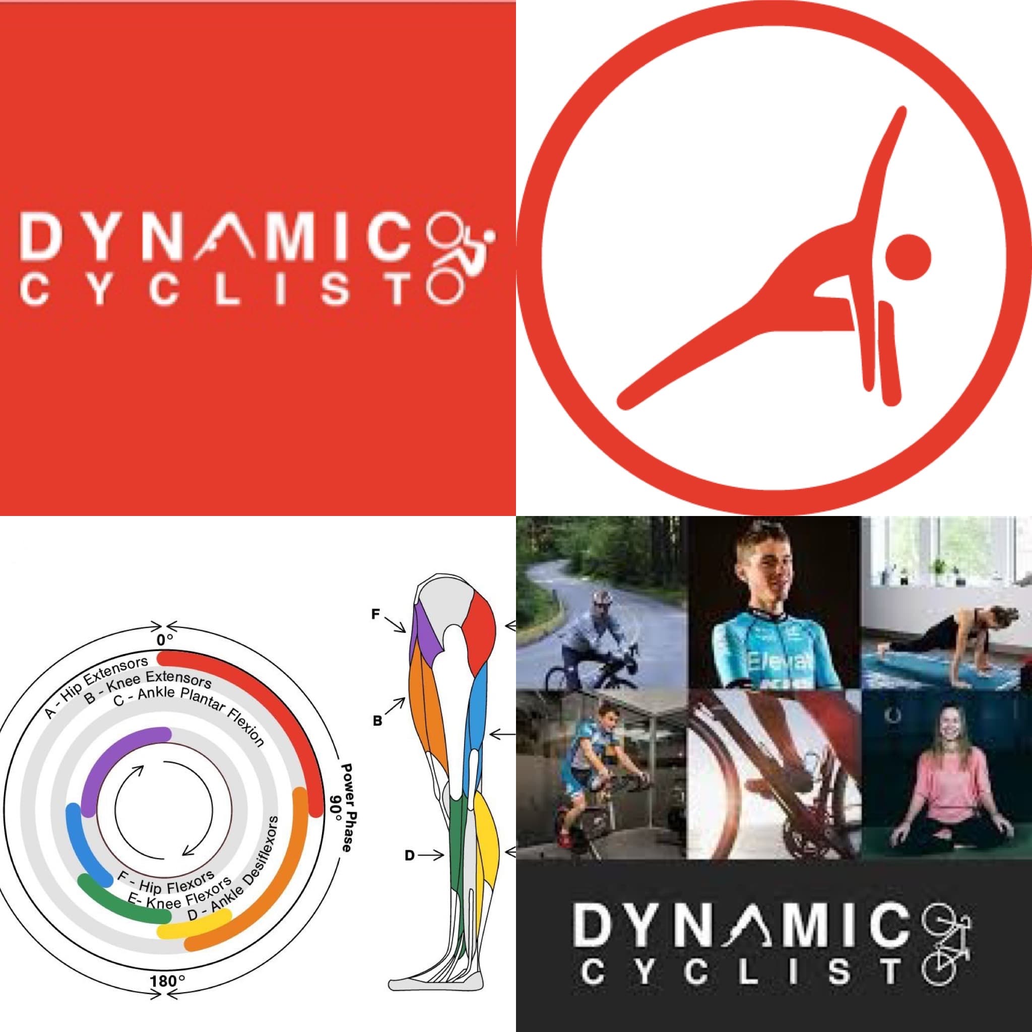 Dynamic Cyclist
